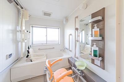 Bathroom Accessibility Renovation detail